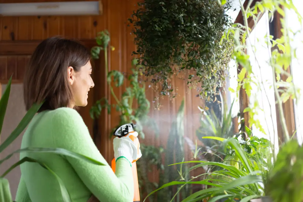Read more about the article Why Does Malaysia’s Humid Weather Make Indoor Disinfection More Important?